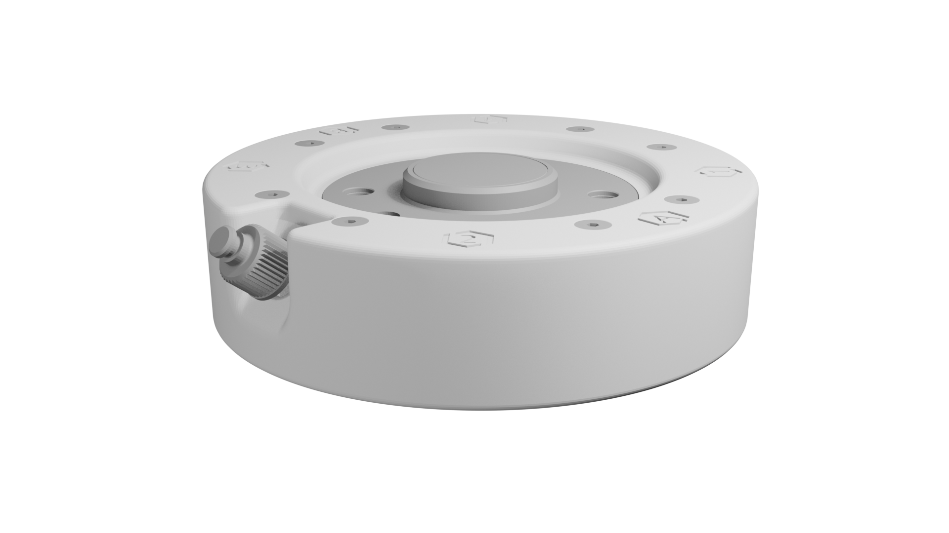 Hexopus viewed from a lateral three-quarter angle